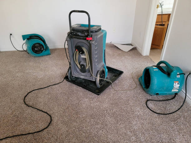 Best Flood damage cleanup  in Kahuku, HI