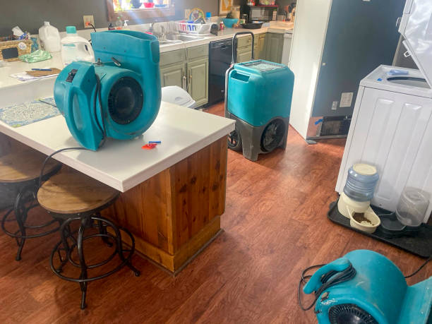 Best Carpet water damage restoration  in Kahuku, HI