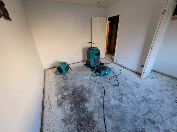 Best Water damage restoration near me  in Kahuku, HI