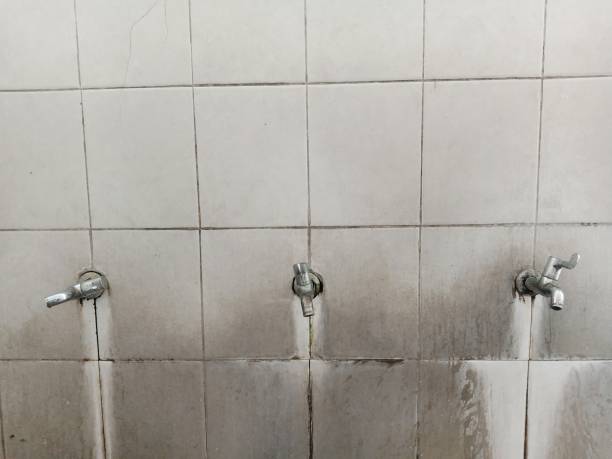 Best Sewage cleanup and water damage restoration  in Kahuku, HI