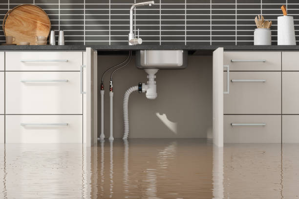 Best Water damage cleanup near me  in Kahuku, HI